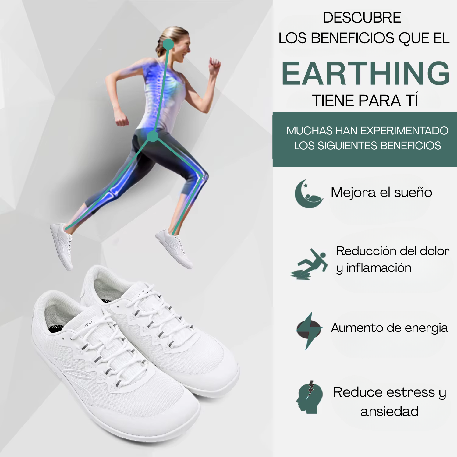 EARTHING LIFE CHILE CONEXION A TIERRA